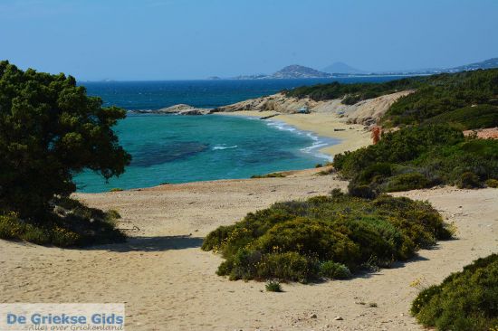 Alyko strand Naxos Alykos strand Naxos